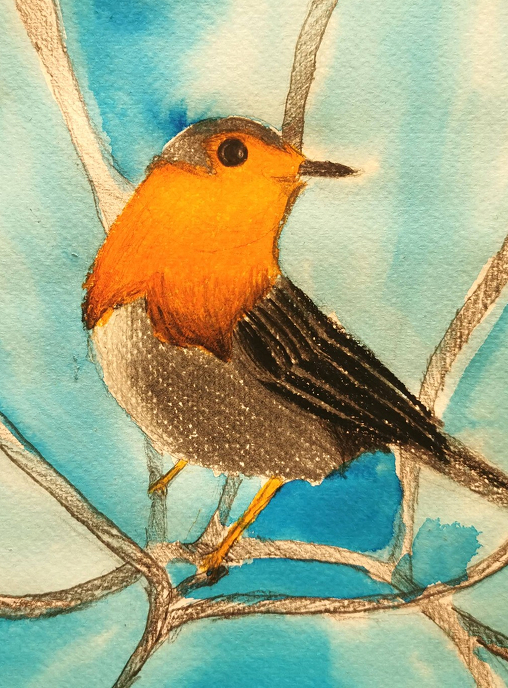 Image hover effect image