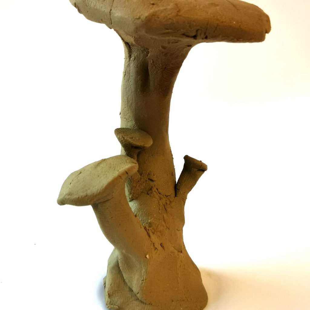 oznorWO